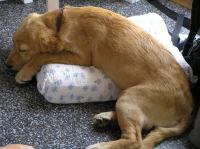 P8220186.JPG - 2005:08:22 12:01:33