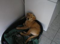 P8240025.JPG - 2005:08:24 18:43:15