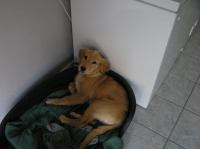 P8240027.JPG - 2005:08:24 18:43:16