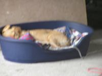 P8250032.JPG - 2005:08:25 17:04:17