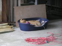 P8250033.JPG - 2005:08:25 17:04:21