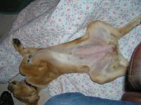 P8250034.JPG - 2005:08:25 21:35:39