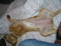 P8250035.JPG - 2005:08:25 21:35:45