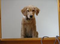 P8260050.JPG - 2005:08:26 10:48:23