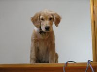 P8260051.JPG - 2005:08:26 10:48:24