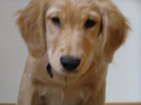 P8260052.JPG - 2005:08:26 10:48:32