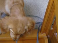 P8260053.JPG - 2005:08:26 10:48:38