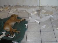 P8270058.JPG - 2005:08:27 09:38:49