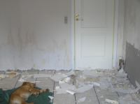 P8270059.JPG - 2005:08:27 09:38:54