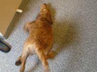 P8280010.JPG - 2005:08:28 17:44:00