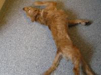 P8280011.JPG - 2005:08:28 17:44:03