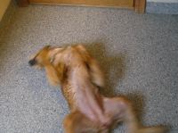 P8280012.JPG - 2005:08:28 17:44:03