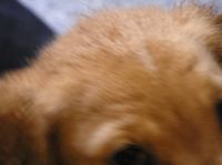 P8280014.JPG - 2005:08:28 17:50:54