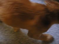 P8280015.JPG - 2005:08:28 17:51:00