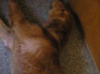 P8280016.JPG - 2005:08:28 17:51:10