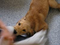 P8280017.JPG - 2005:08:28 17:51:22