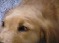 P8280018.JPG - 2005:08:28 17:51:28