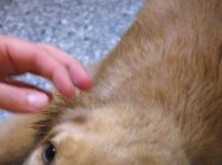 P8280019.JPG - 2005:08:28 17:51:29