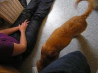 P8280021.JPG - 2005:08:28 17:52:39