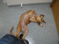 P8280022.JPG - 2005:08:28 17:52:45