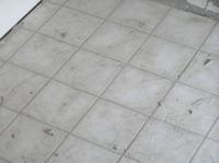 P8280070.JPG - 2005:08:28 09:58:17