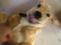 P9010023.JPG - 2005:09:01 08:00:32