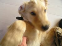 P9010025.JPG - 2005:09:01 08:01:24