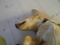 P9010026.JPG - 2005:09:01 08:01:57