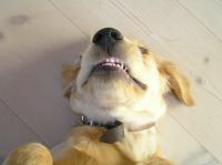 P9010027.JPG - 2005:09:01 08:02:32