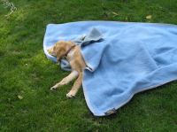 P9070029.JPG - 2005:09:07 13:30:51