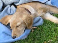 P9070030.JPG - 2005:09:07 13:31:05