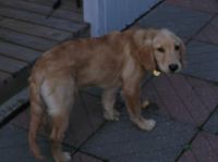 P9130036.JPG - 2005:09:13 19:29:00