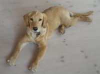 P9210045.JPG - 2005:09:21 16:11:07