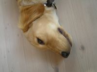 P9210050.JPG - 2005:09:21 16:13:37