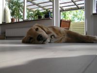 P9210051.JPG - 2005:09:21 16:13:48