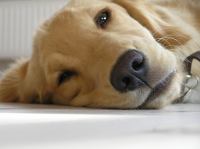 P9210052.JPG - 2005:09:21 16:13:58