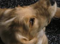 P9210055.JPG - 2005:09:21 18:21:31