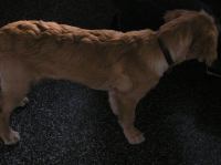 P9210057.JPG - 2005:09:21 18:23:06