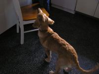 P9210058.JPG - 2005:09:21 18:23:45