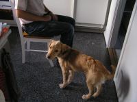 P9210059.JPG - 2005:09:21 18:24:10