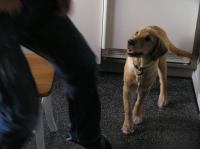 P9210060.JPG - 2005:09:21 18:24:16