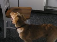 P9210061.JPG - 2005:09:21 18:24:19