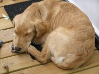 P9220062.JPG - 2005:09:22 11:57:22