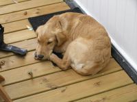 P9220063.JPG - 2005:09:22 11:57:27