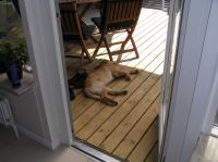 P9240003.JPG - 2005:09:24 12:14:24