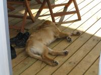 P9240004.JPG - 2005:09:24 12:14:32