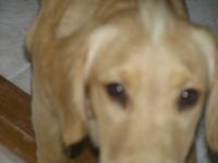 PA060006.JPG - 2005:10:06 16:43:37