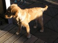 PA060007.JPG - 2005:10:06 16:51:59