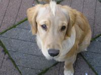 PA060008.JPG - 2005:10:06 16:52:12