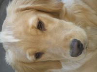 PA060009.JPG - 2005:10:06 16:52:34